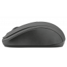 21509 Ziva Wireless Compact Mouse