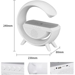 Lampada LED RGB con Ricarica Wireless Bluetooth Speaker Ricaricabile Radio FM SD 2301