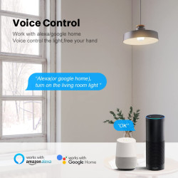 Interruttore Relè WiFi Mini Controllo Luce incasso Compatibile Alexa e Google