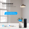 Interruttore Relè WiFi Mini Controllo Luce incasso Compatibile Alexa e Google
